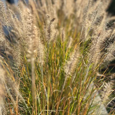 Apartman Forstblick *