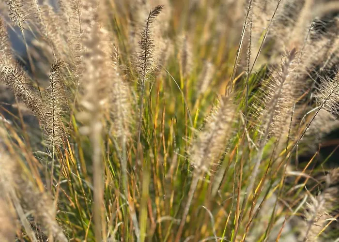 Appartement Forstblick *